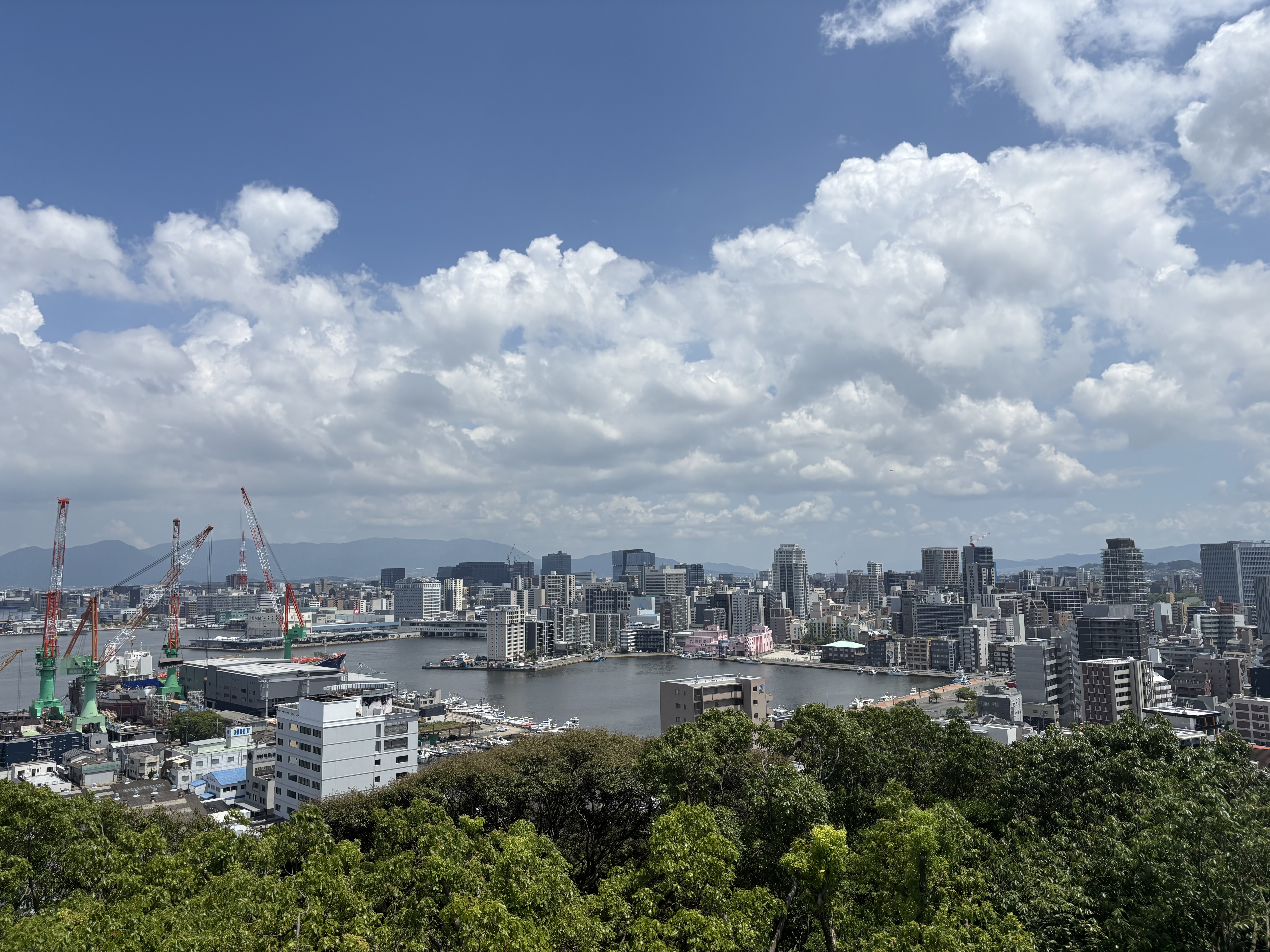 西公園の新しい展望台